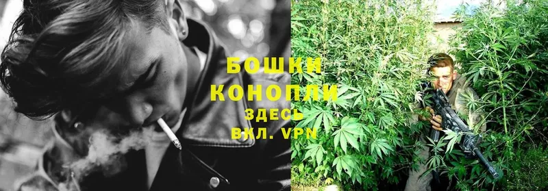 shop наркотические препараты  Пучеж  Марихуана THC 21%  omg ТОР 